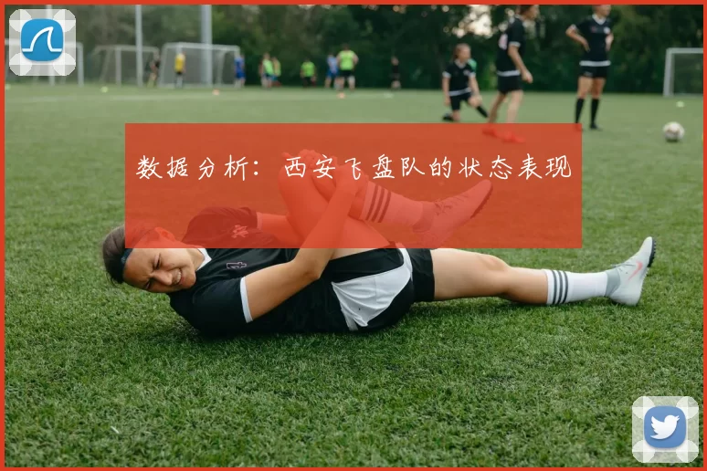 数据分析：西安飞盘队的状态表现