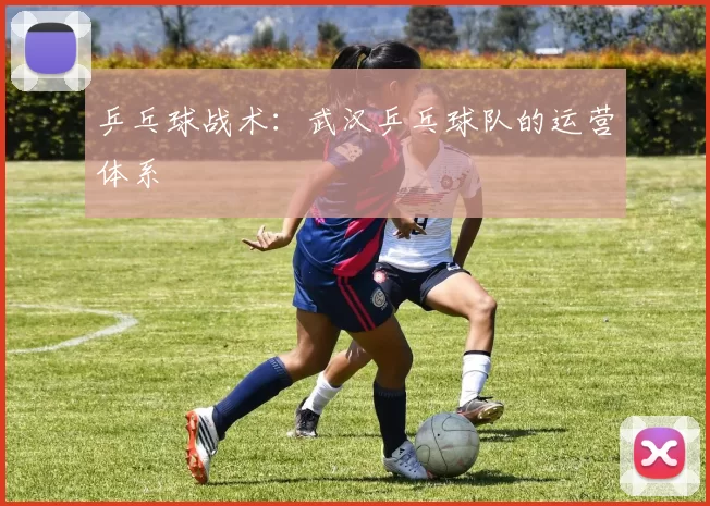 乒乓球战术：武汉乒乓球队的运营体系