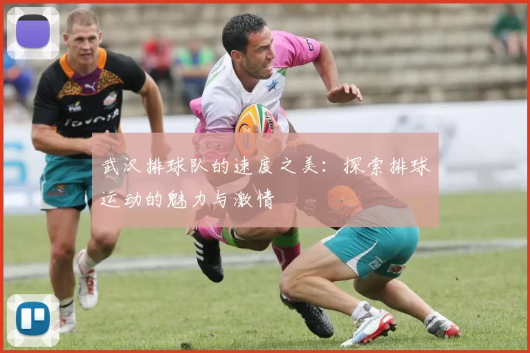 武汉排球队的速度之美：探索排球运动的魅力与激情