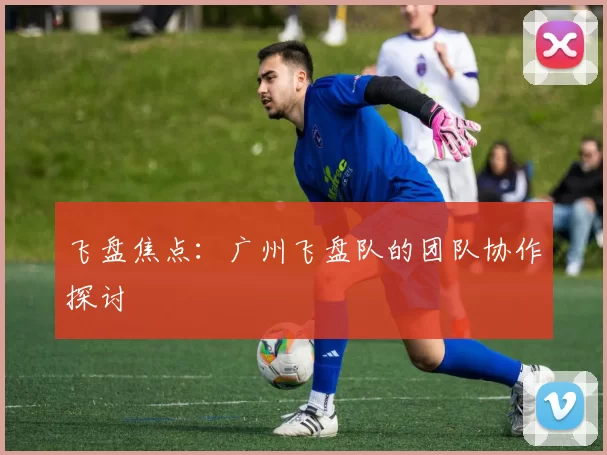 飞盘焦点：广州飞盘队的团队协作探讨
