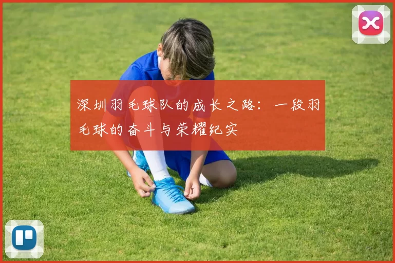 深圳羽毛球队的成长之路：一段羽毛球的奋斗与荣耀纪实