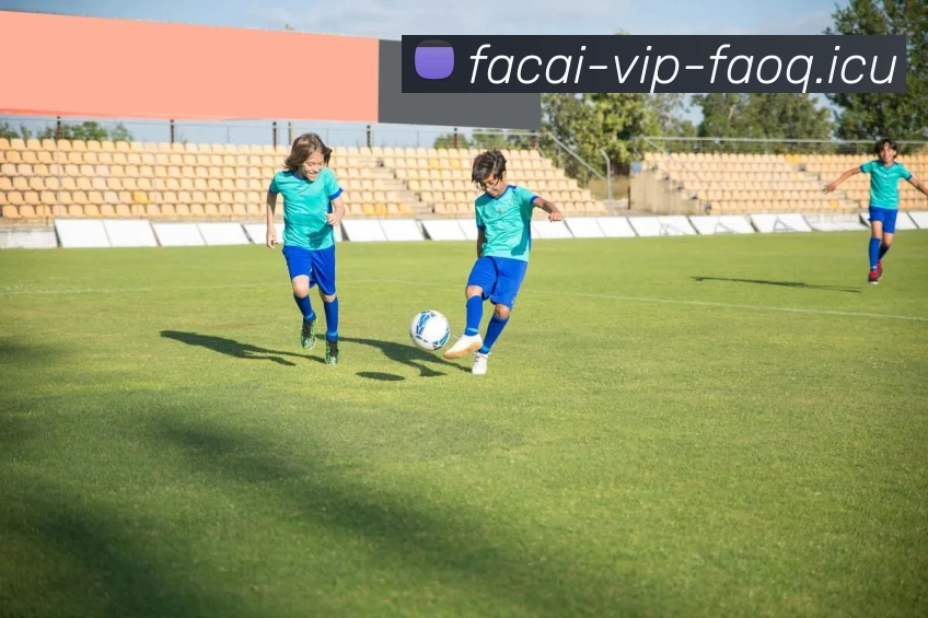 爱游戏体育APP 封面图